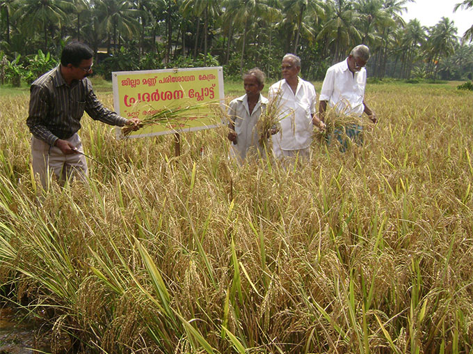 ചെറുതാഴം കൃഷിഭവന്‍