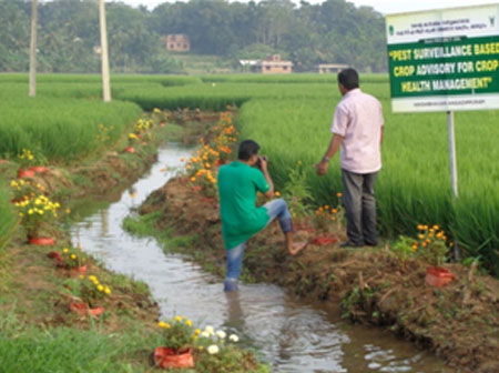 അങ്ങാടിപ്പുറം