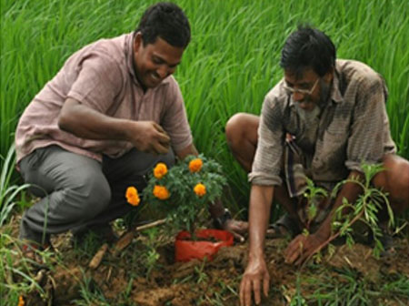 Angadipuram