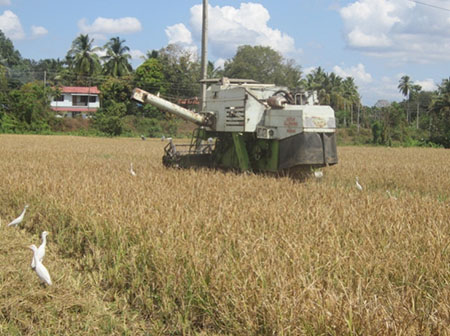 വടക്കഞ്ചരി കൃഷിഭവന്‍